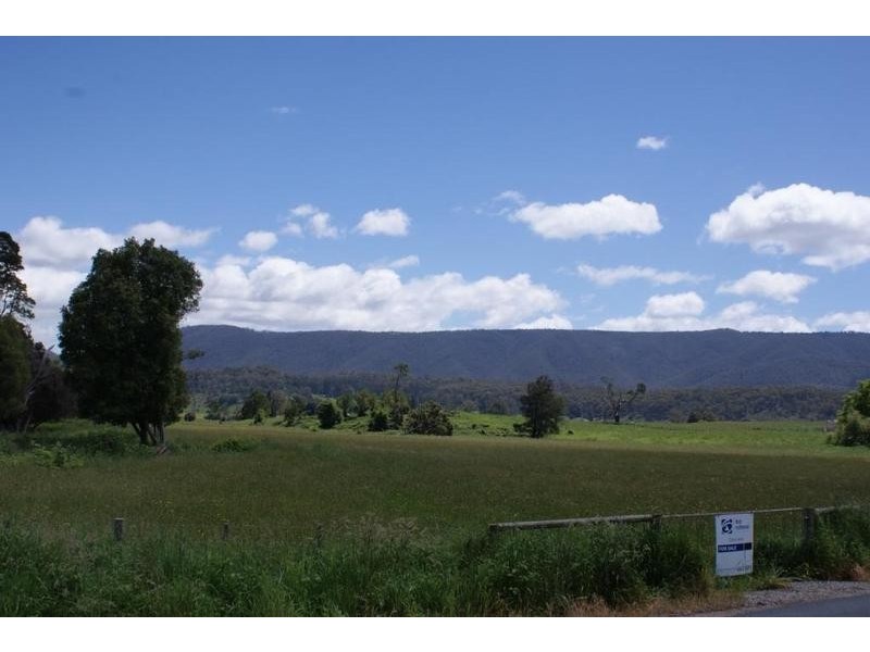 Liena road, Mole Creek TAS 7304