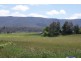 Liena road, Mole Creek TAS 7304