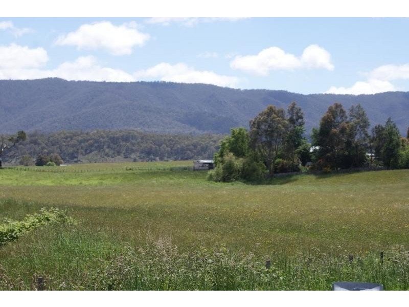 Liena road, Mole Creek TAS 7304