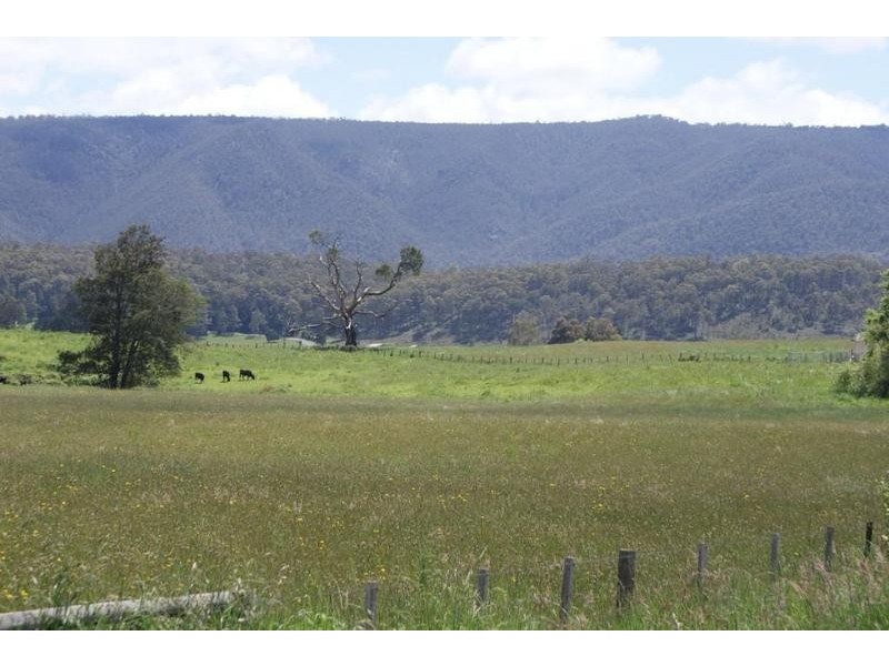 Liena road, Mole Creek TAS 7304