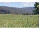 Liena road, Mole Creek TAS 7304