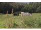 478 Union Bridge Road, Mole Creek TAS 7304