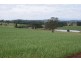 280 Exton Road, Exton TAS 7303
