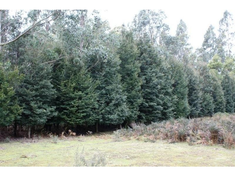 12624 Highaland Lakes Road, Golden Valley TAS 7304