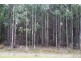 12624 Highaland Lakes Road, Golden Valley TAS 7304