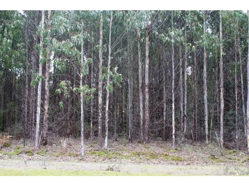 12624 Highaland Lakes Road, Golden Valley TAS 7304