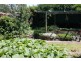 53 East Barrack Street, Deloraine TAS 7304