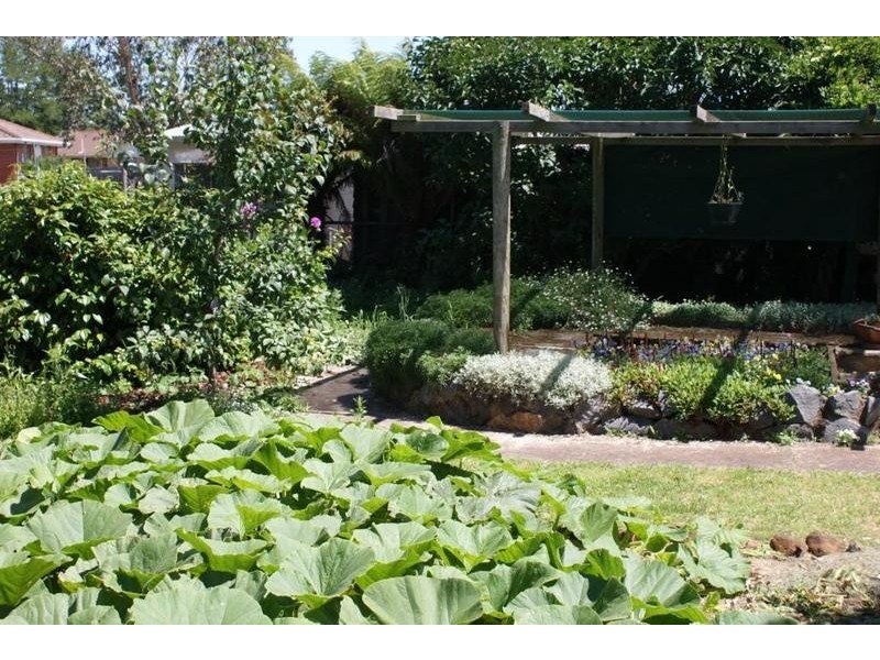 53 East Barrack Street, Deloraine TAS 7304