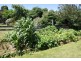 53 East Barrack Street, Deloraine TAS 7304