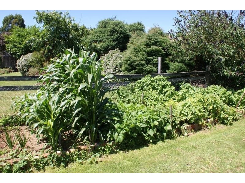 53 East Barrack Street, Deloraine TAS 7304