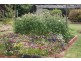 53 East Barrack Street, Deloraine TAS 7304