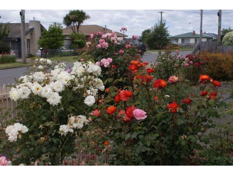 53 East Barrack Street, Deloraine TAS 7304