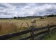 204 Liena Road, Mole Creek TAS 7304