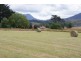204 Liena Road, Mole Creek TAS 7304