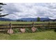 204 Liena Road, Mole Creek TAS 7304