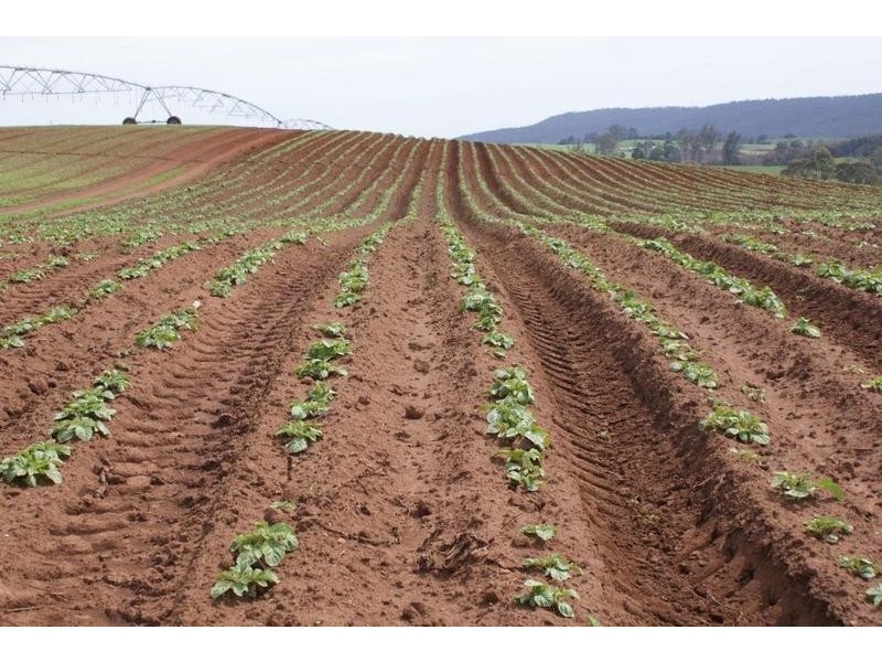 169 Mole Creek Road, Deloraine TAS 7304