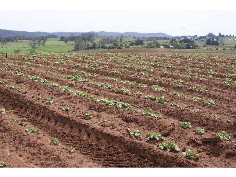 169 Mole Creek Road, Deloraine TAS 7304