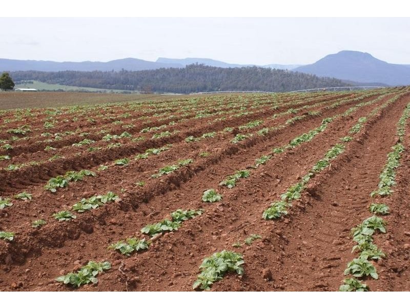 169 Mole Creek Road, Deloraine TAS 7304