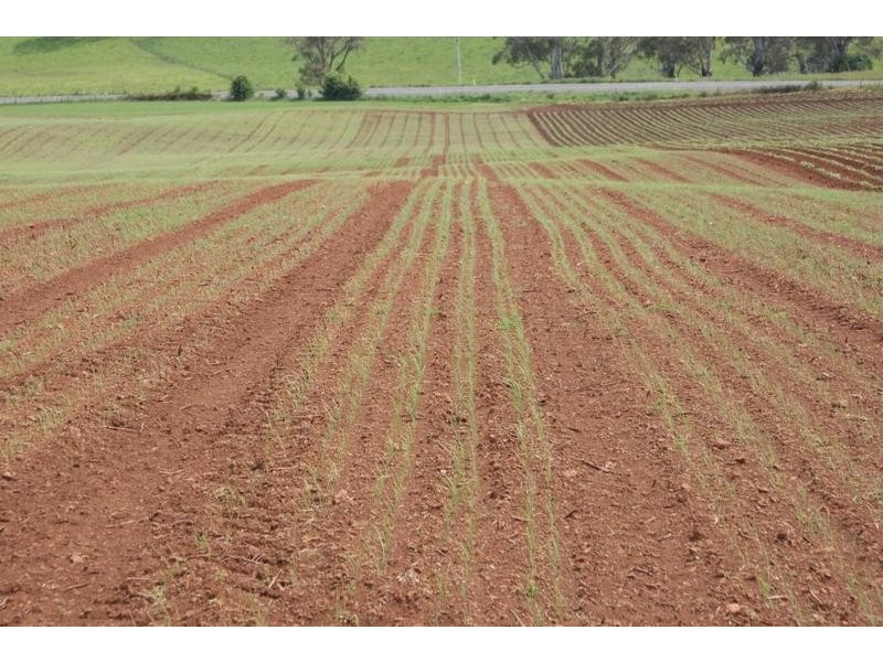 169 Mole Creek Road, Deloraine TAS 7304