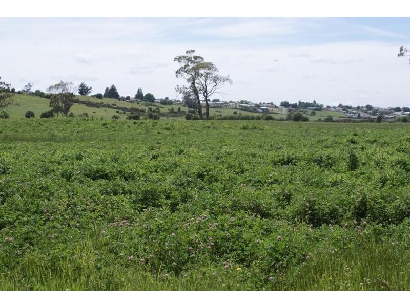 169 Mole Creek Road, Deloraine TAS 7304