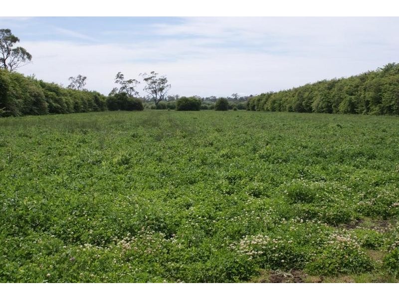 169 Mole Creek Road, Deloraine TAS 7304