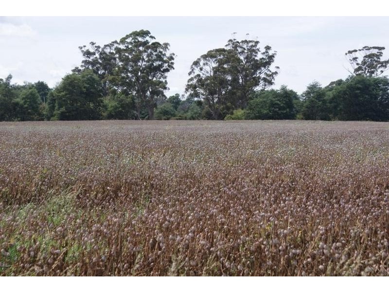 0 Address Available on Request, Exton TAS 7303