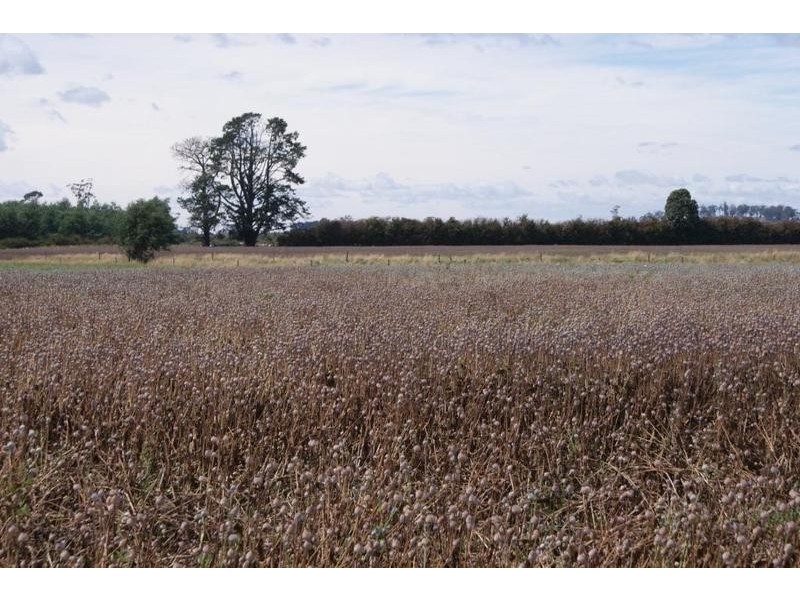 0 Address Available on Request, Exton TAS 7303