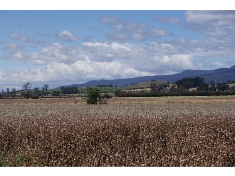 0 Address Available on Request, Exton TAS 7303