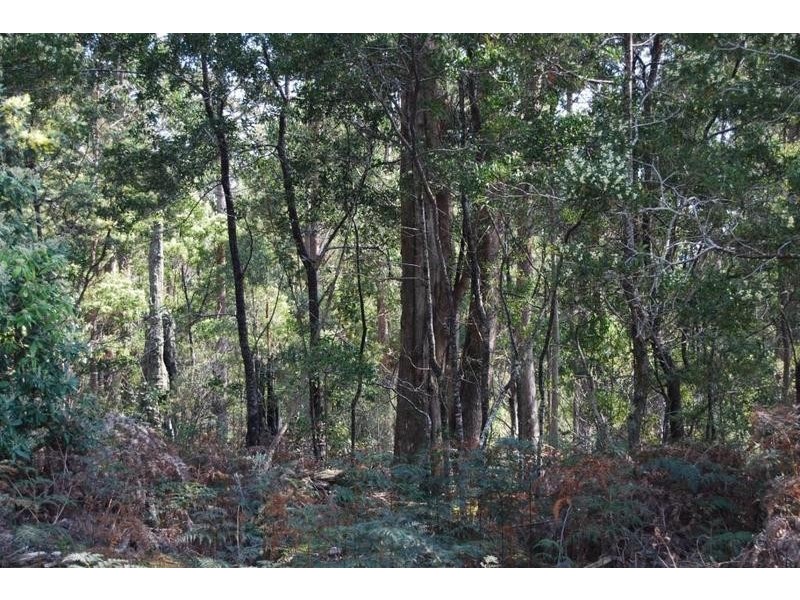 00 Western Creek Road, Western Creek TAS 7304