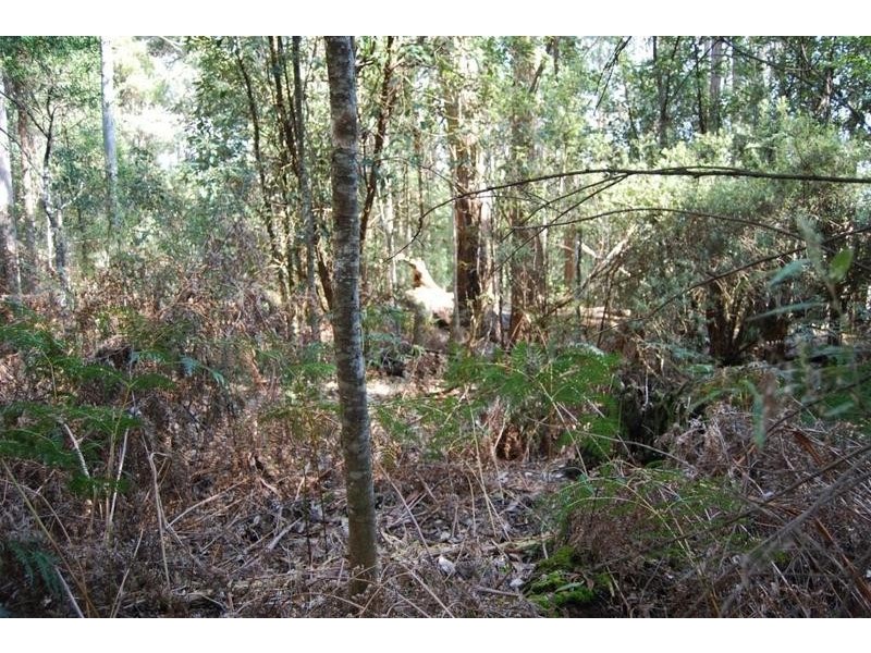 00 Western Creek Road, Western Creek TAS 7304