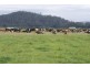 0 Highland Lakes Road, Deloraine TAS 7304