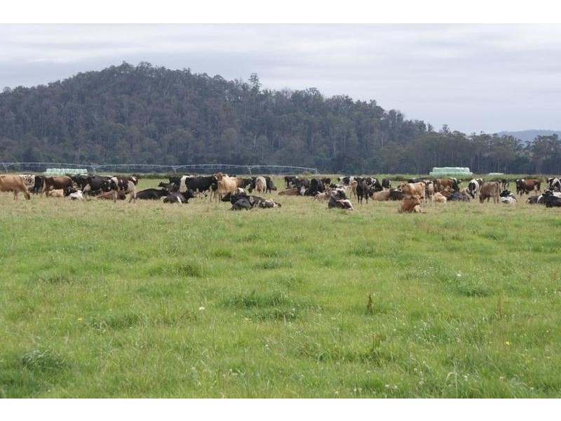 0 Highland Lakes Road, Deloraine TAS 7304