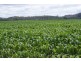 0 Highland Lakes Road, Deloraine TAS 7304