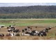 0 Highland Lakes Road, Deloraine TAS 7304