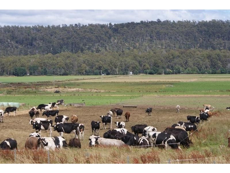 0 Highland Lakes Road, Deloraine TAS 7304