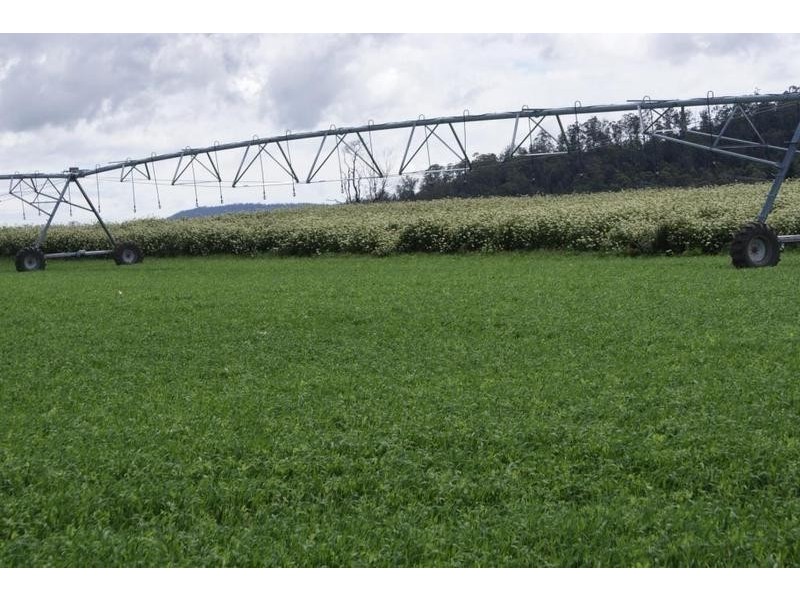 … Highland Lakes Road, Deloraine TAS 7304