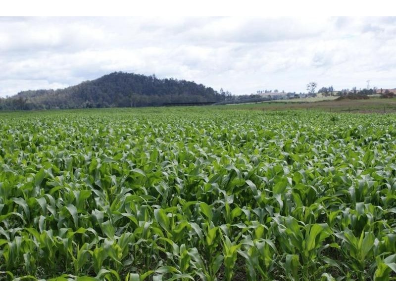 … Highland Lakes Road, Deloraine TAS 7304