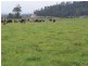 14437 Highland Lakes Road, Deloraine TAS 7304