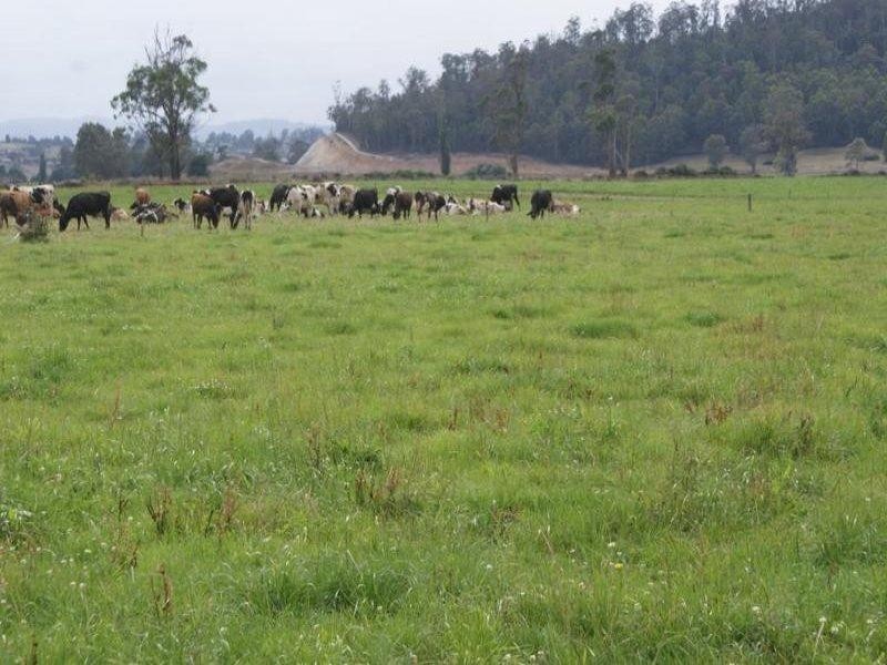 14437 Highland Lakes Road, Deloraine TAS 7304
