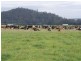 14437 Highland Lakes Road, Deloraine TAS 7304