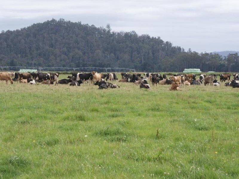 14437 Highland Lakes Road, Deloraine TAS 7304