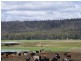 14437 Highland Lakes Road, Deloraine TAS 7304