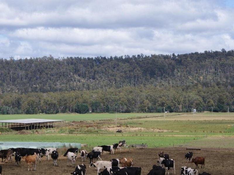 14437 Highland Lakes Road, Deloraine TAS 7304