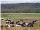 14437 Highland Lakes Road, Deloraine TAS 7304