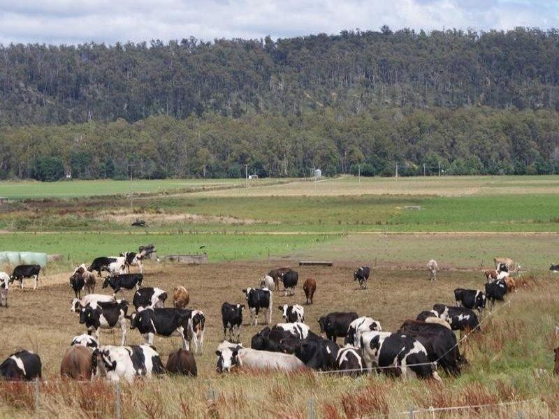 14437 Highland Lakes Road, Deloraine TAS 7304