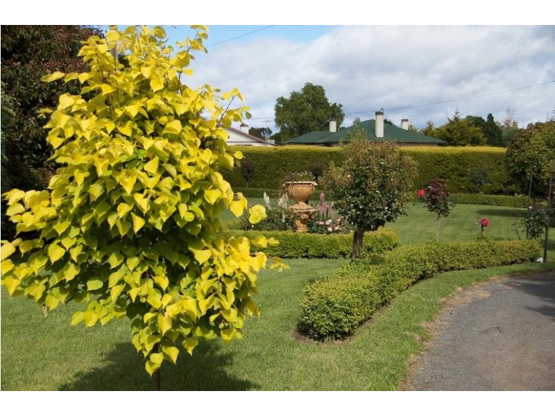 44a Grigg Street, Deloraine TAS 7304