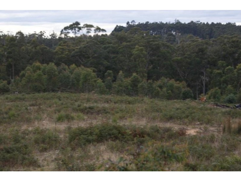 13544 Highland lakes road, Golden Valley TAS 7304