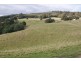 84 Coates Hill Road, Parkham TAS 7304