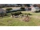 22 East Westbury Place, Deloraine TAS 7304