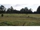 87 Dexter Street, Westbury TAS 7303